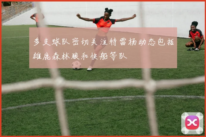 多支球队密切关注特雷杨动态包括雄鹿森林狼和快船等队