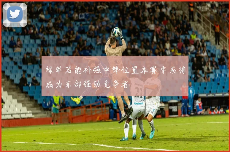 绿军若能补强中锋位置本赛季或将成为东部强劲竞争者