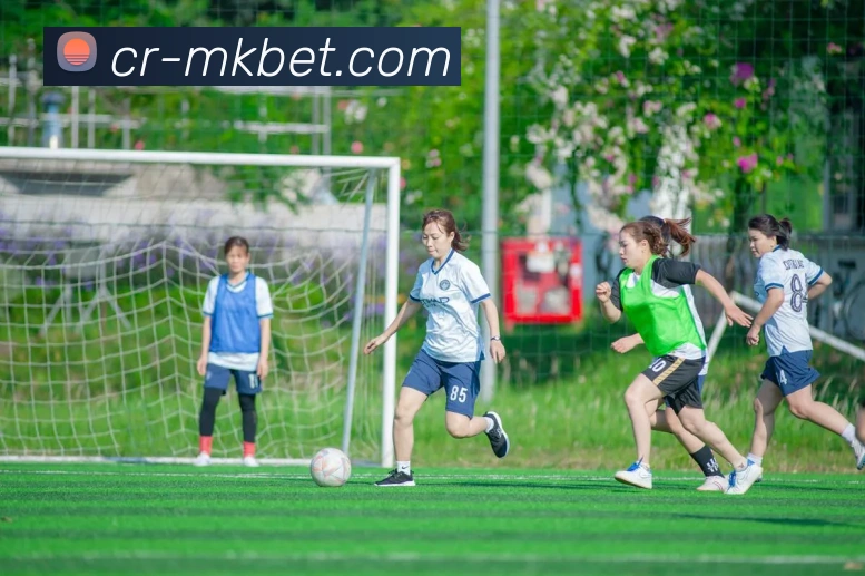 MK体育平台生态图